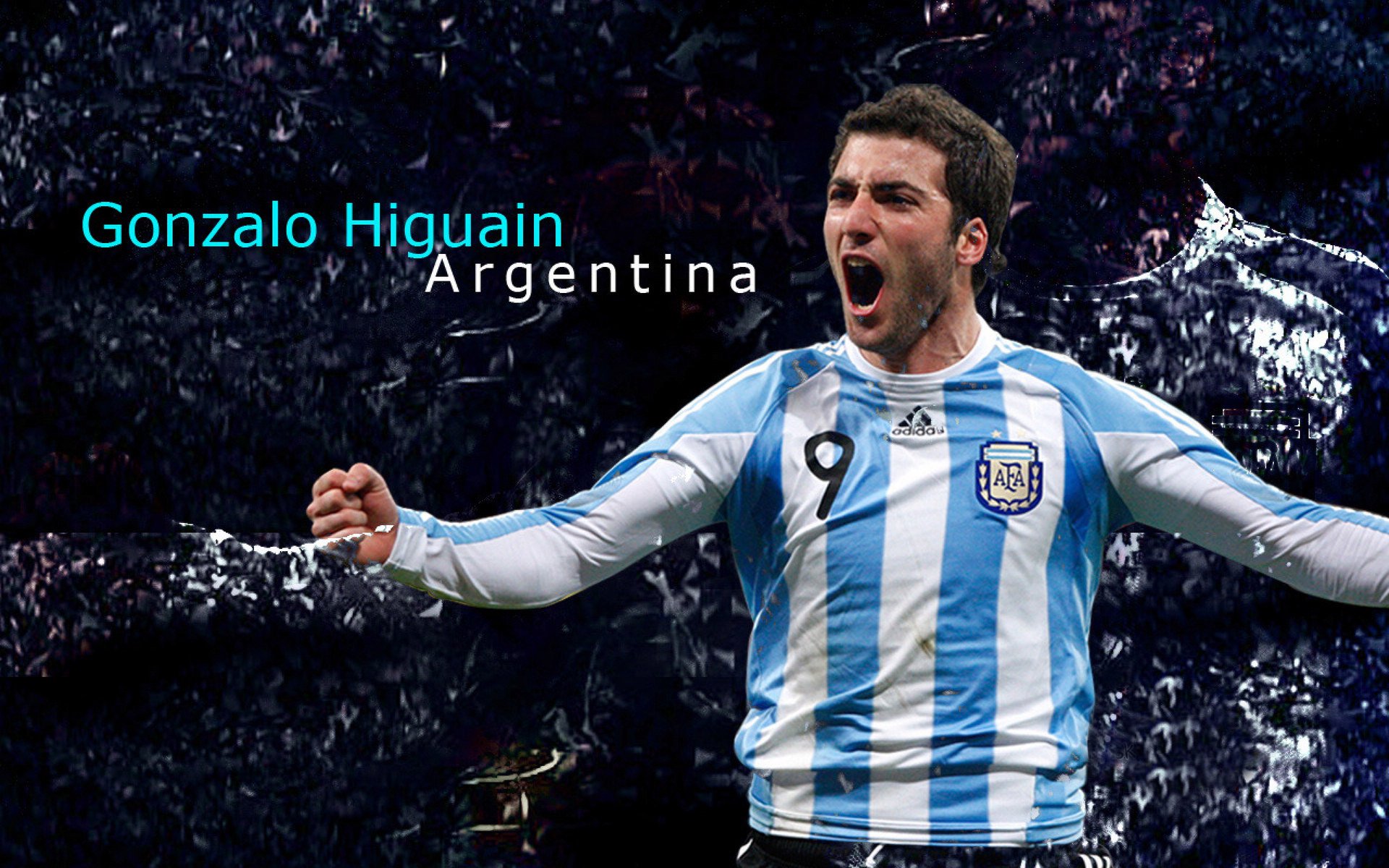 潜力黑马：一批“黑马”新星大揭秘，未来可期，黑马潜力股是什么意思